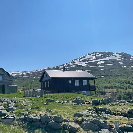 Bjørgo Gard - Stegastein * Aurland