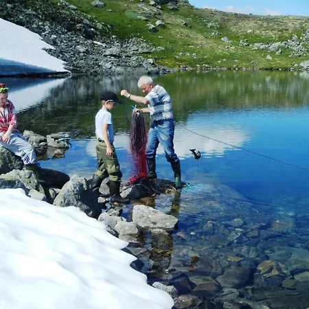 Bjorgo Gard - Stegastein * Aurland